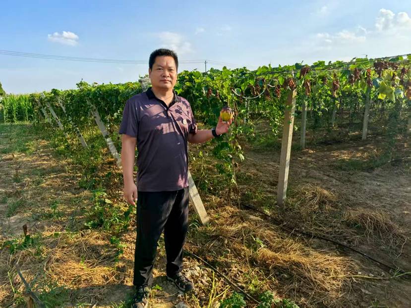 849480c21804e7344f7277a4a841547