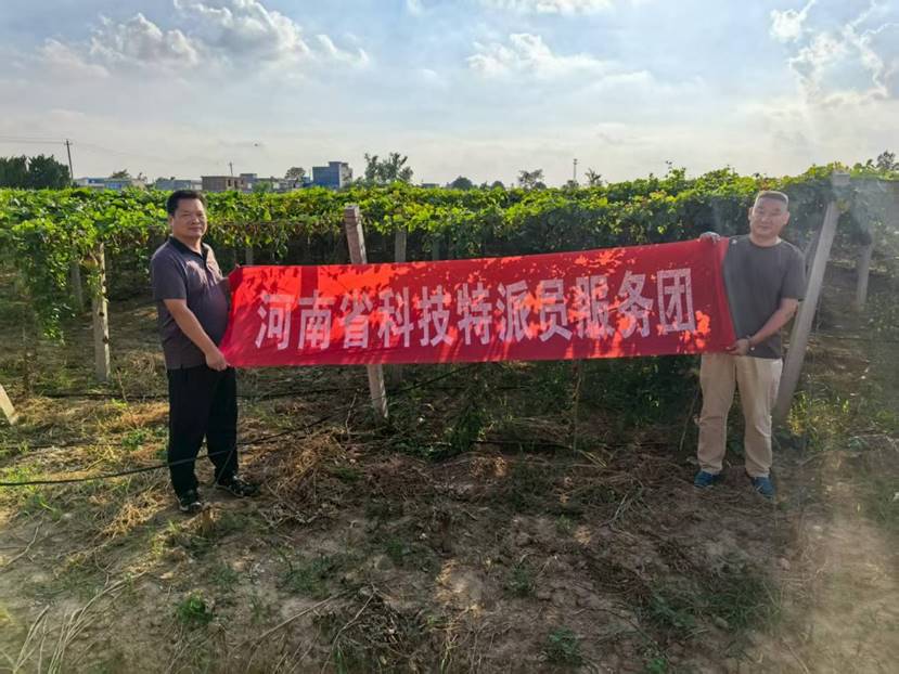 e2a9819b2132b69a3c455053750cec1