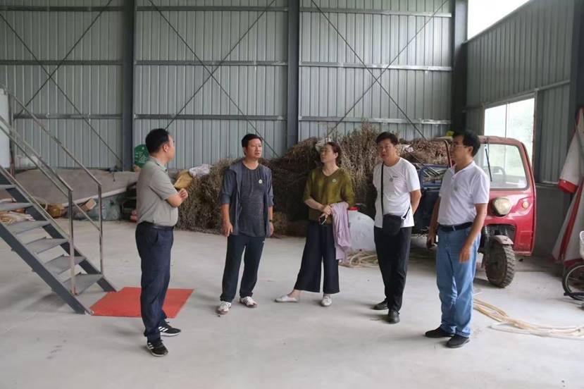 d3ed5880193d361c8036cbbf5618c11